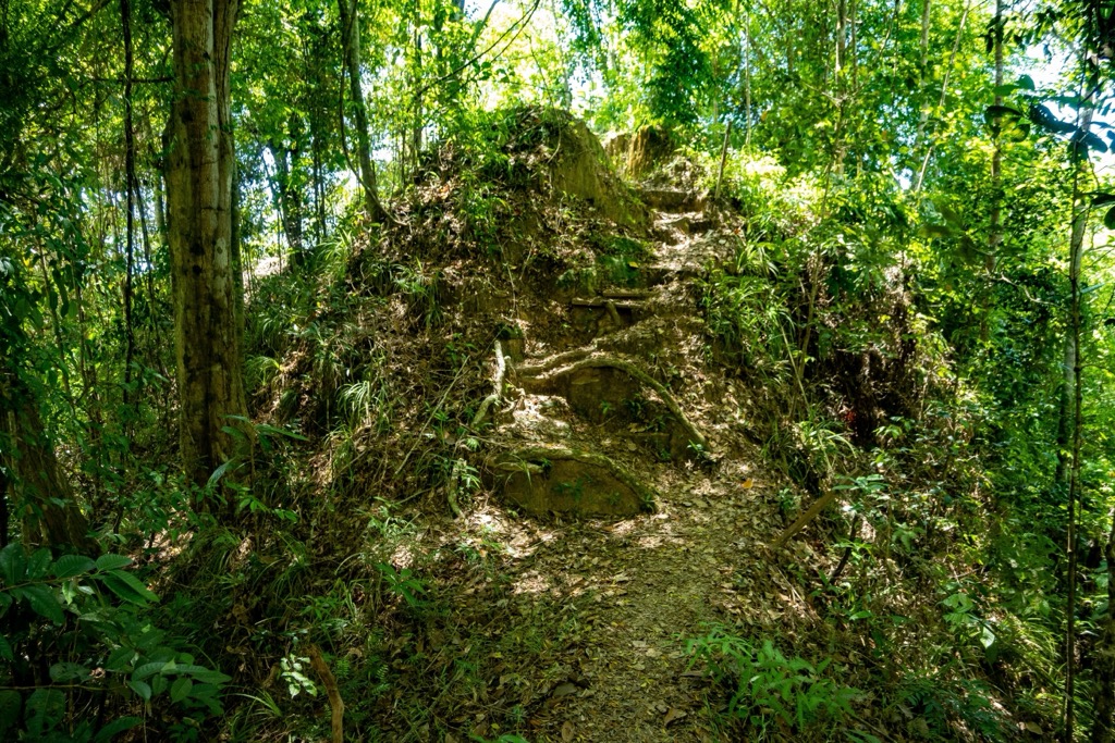 Hiking trails in Tasek Lama. Brunei