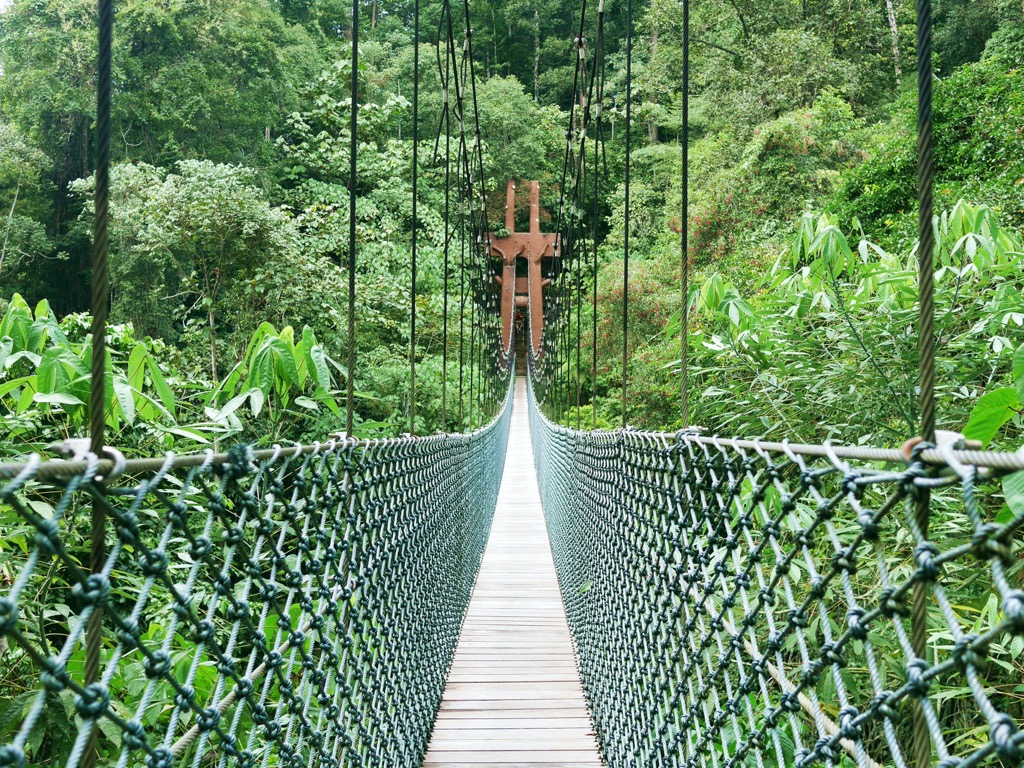 A pedestrian suspension bridge in Ulu Temburong National Park. Brunei