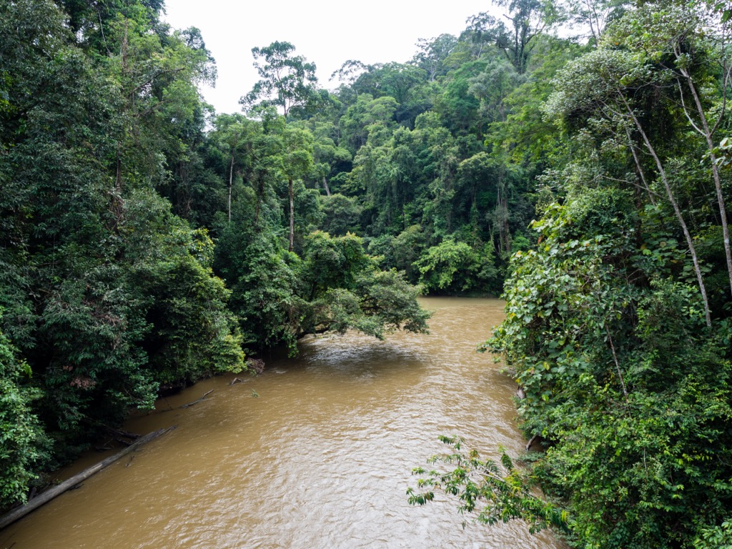The Temburong River in Ulu Temburong National Park. Brunei