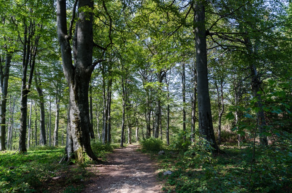 Bulgarka Nature Park, Bulgaria