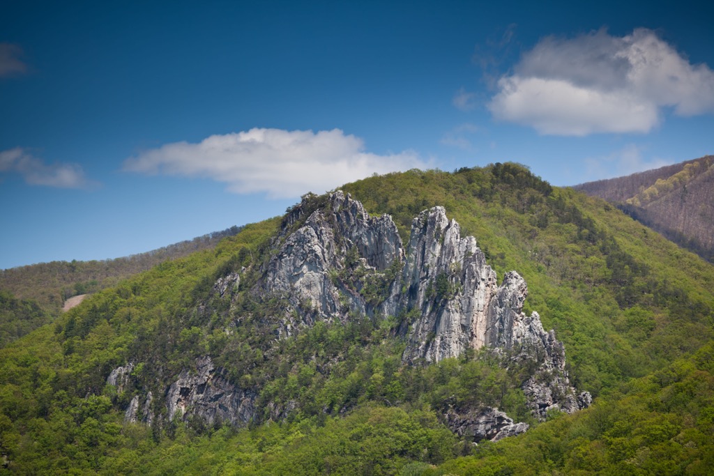 Burner Mountain, Little River Wildlife Management Area, Monongahela National Forest, West Virginia, USA