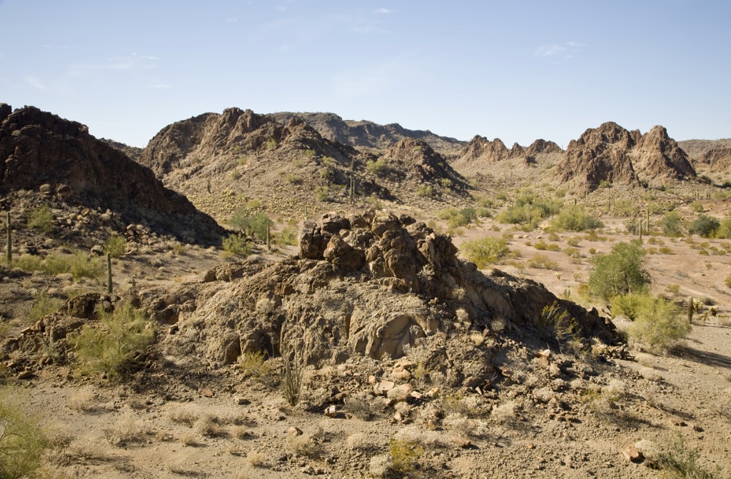 The Cabeza Prieta Wilderness, Arizona