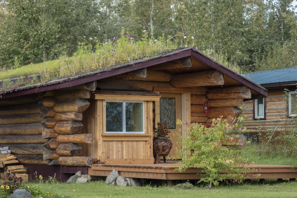 Cabin, Alaska, Northern America, USA