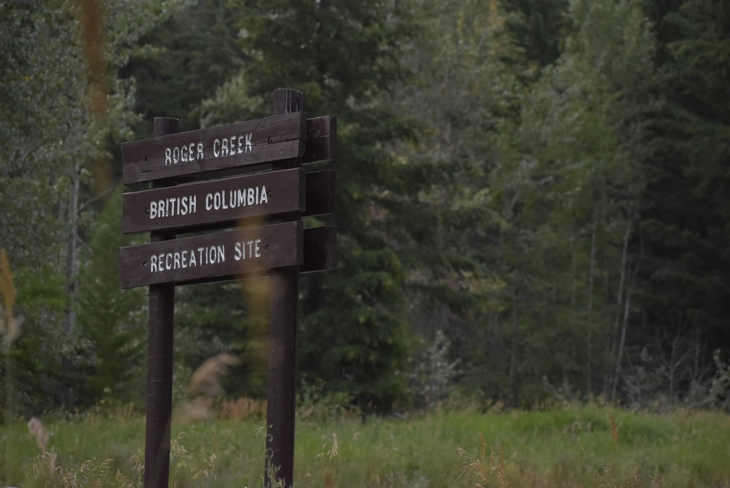 Camping sign, Roger Creek, Upper Rogers kólii7 Conservancy, British Columbia, Canada