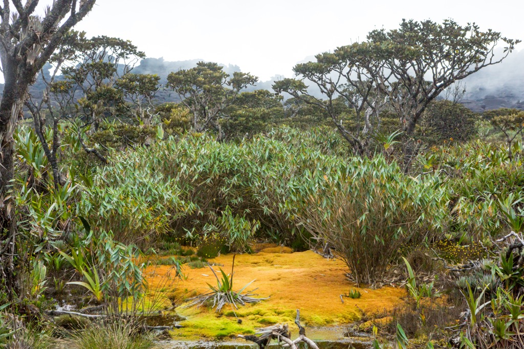 Canaima National Park, Venezuela