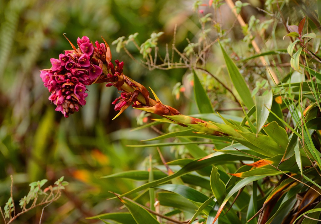 Canaima National Park, Venezuela