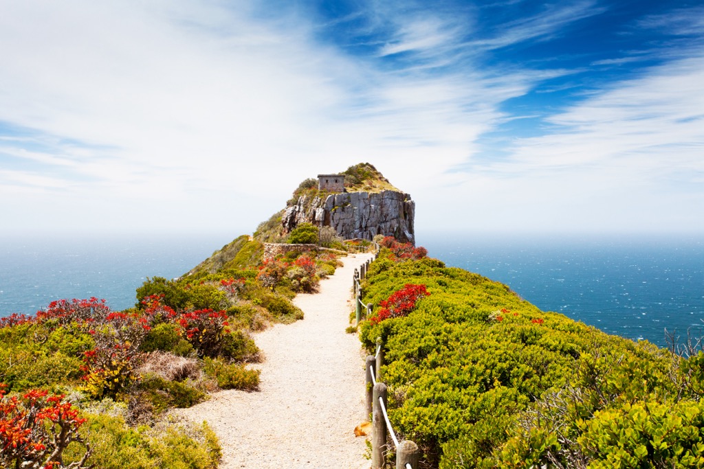 The Cape of Good Hope Trail. Cape Town