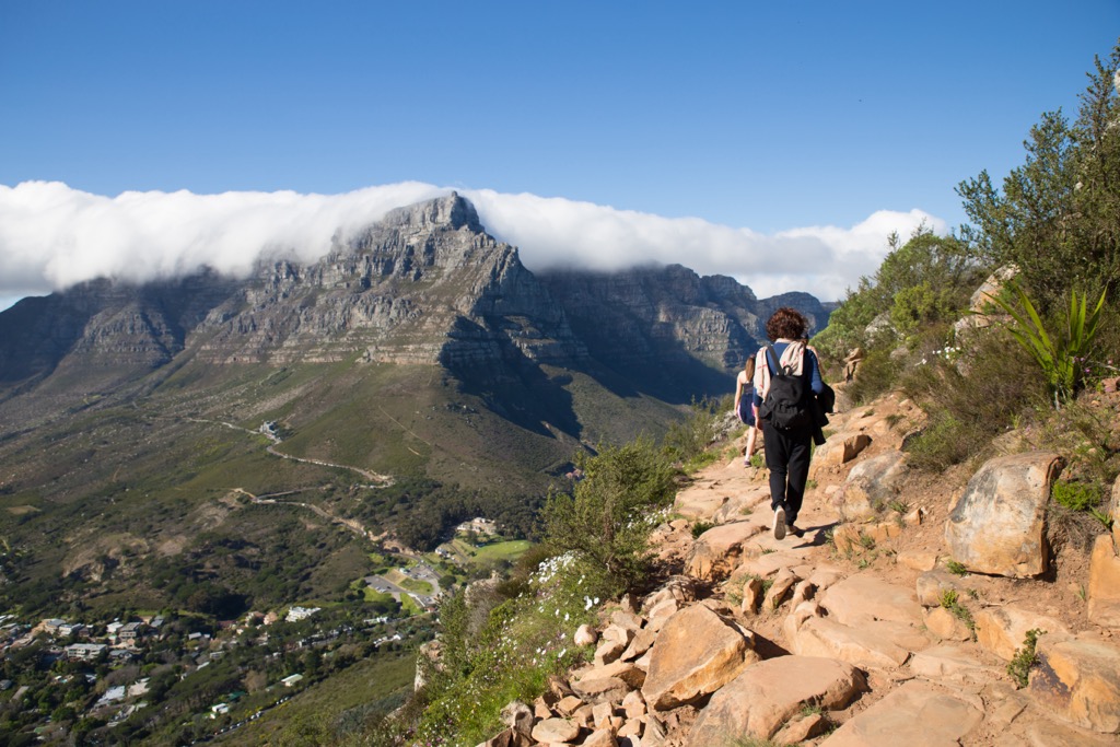 Hiking Lion’s Head. Cape Town