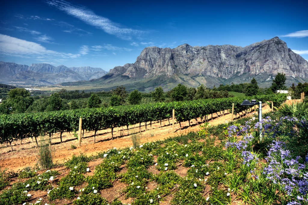 The Stellenbosch district of the Cape Winelands. Cape Town