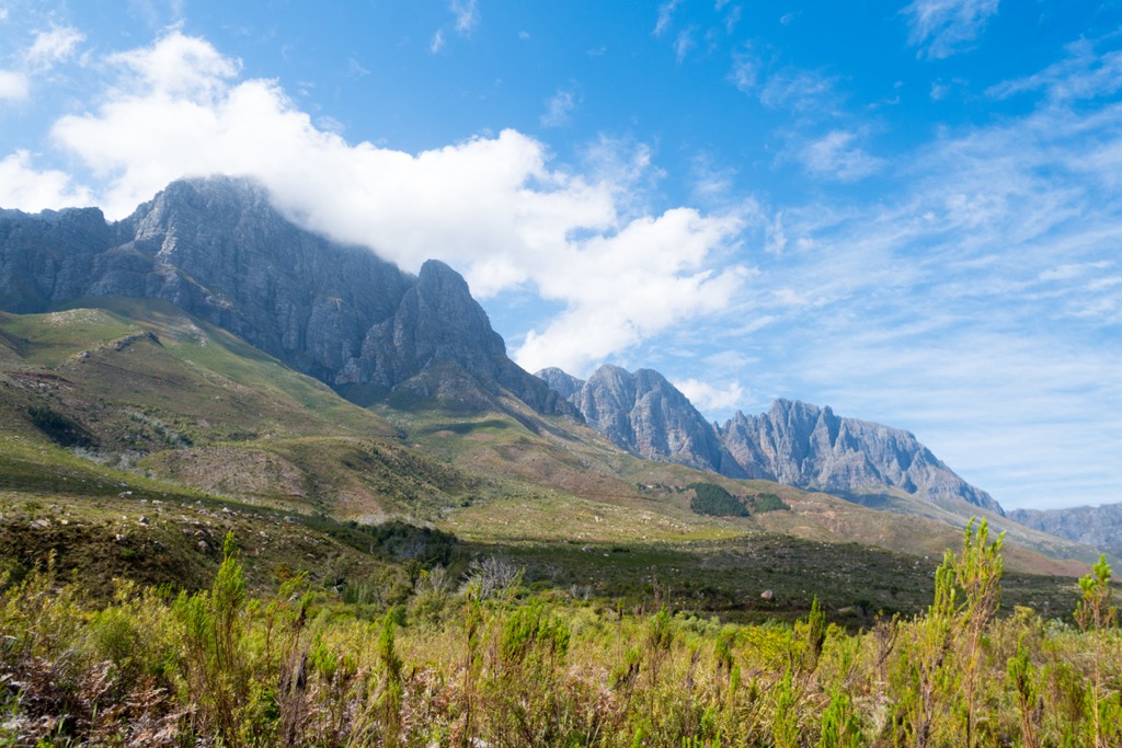 Cape Winelands Biosphere Reserve, South Africa