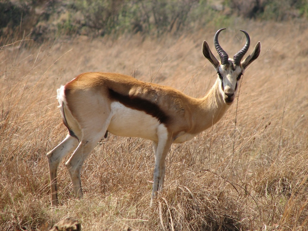 Cape Winelands, South Africa