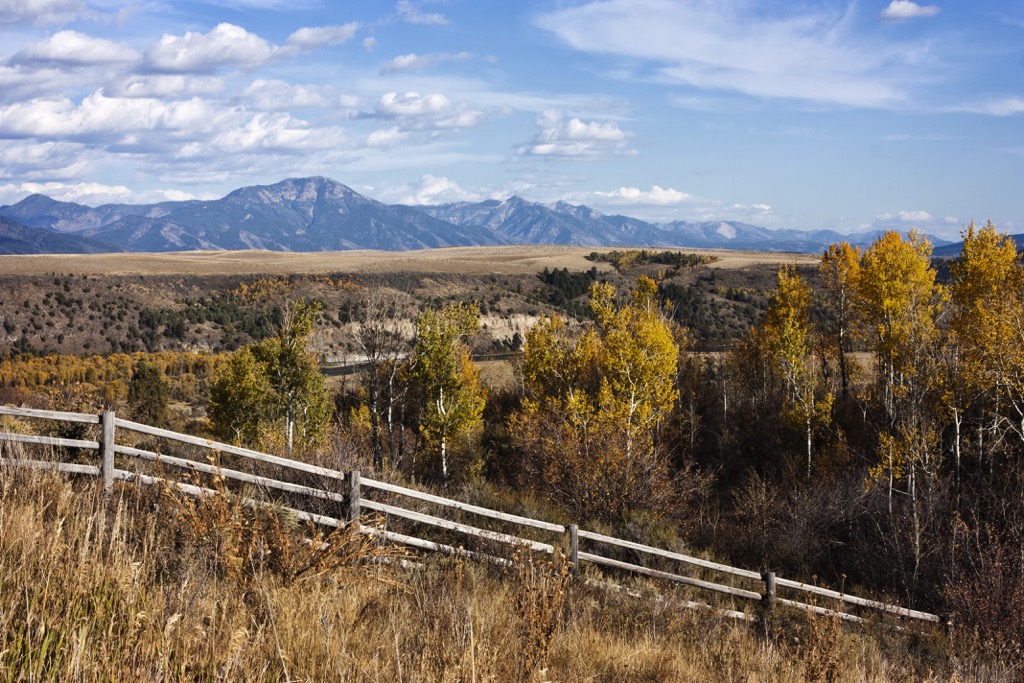 Caribou Targhee National Forest, Idaho, USA