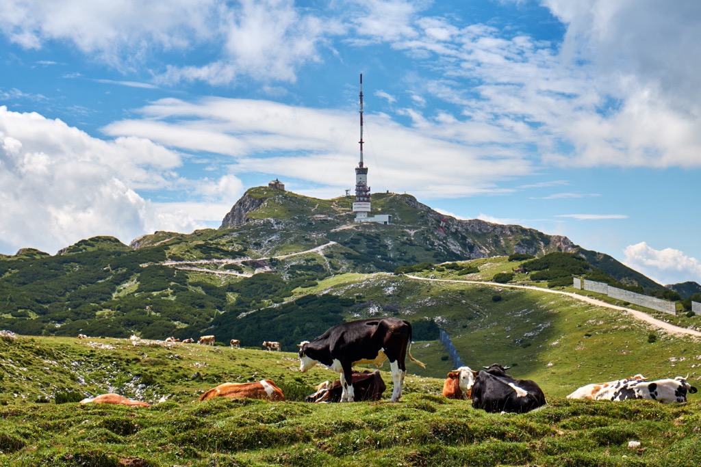 Dobratsch summit with the radio tower and Maria am Stein chapel visible. Carinthia