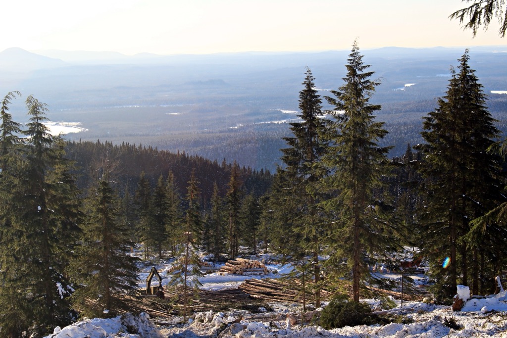 E16 highway from Prince George to Jasper, Canada