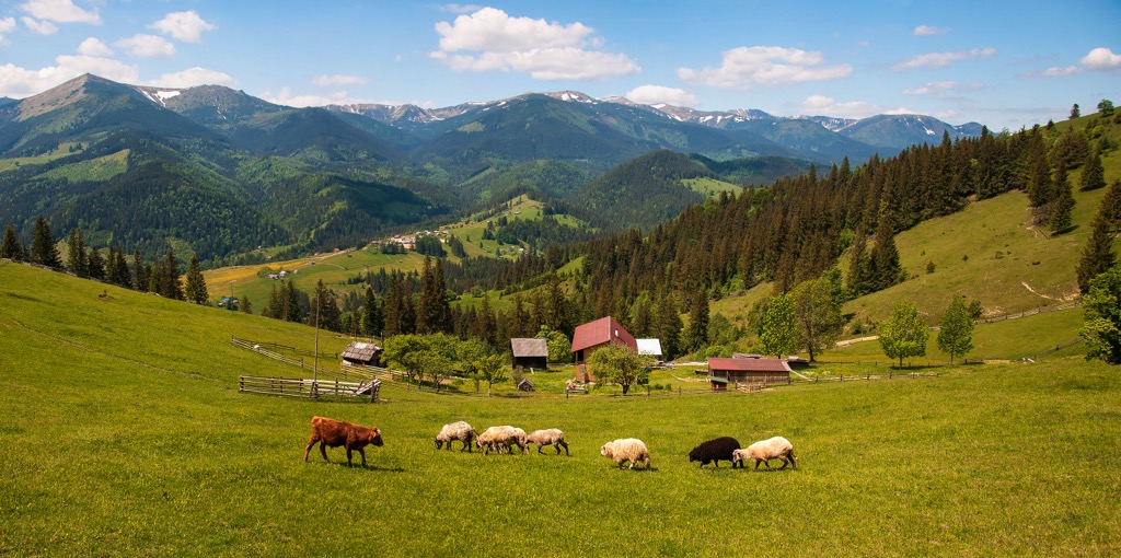 Carpathians, Ukraine
