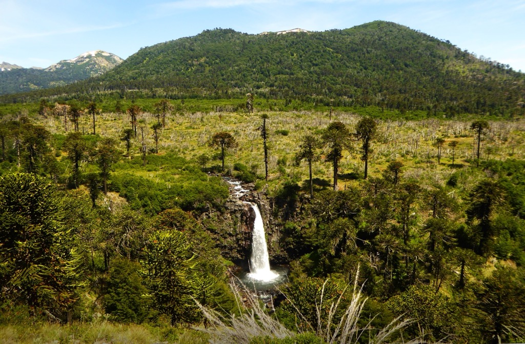 Cascada Coloco, Neuquén, Argentina