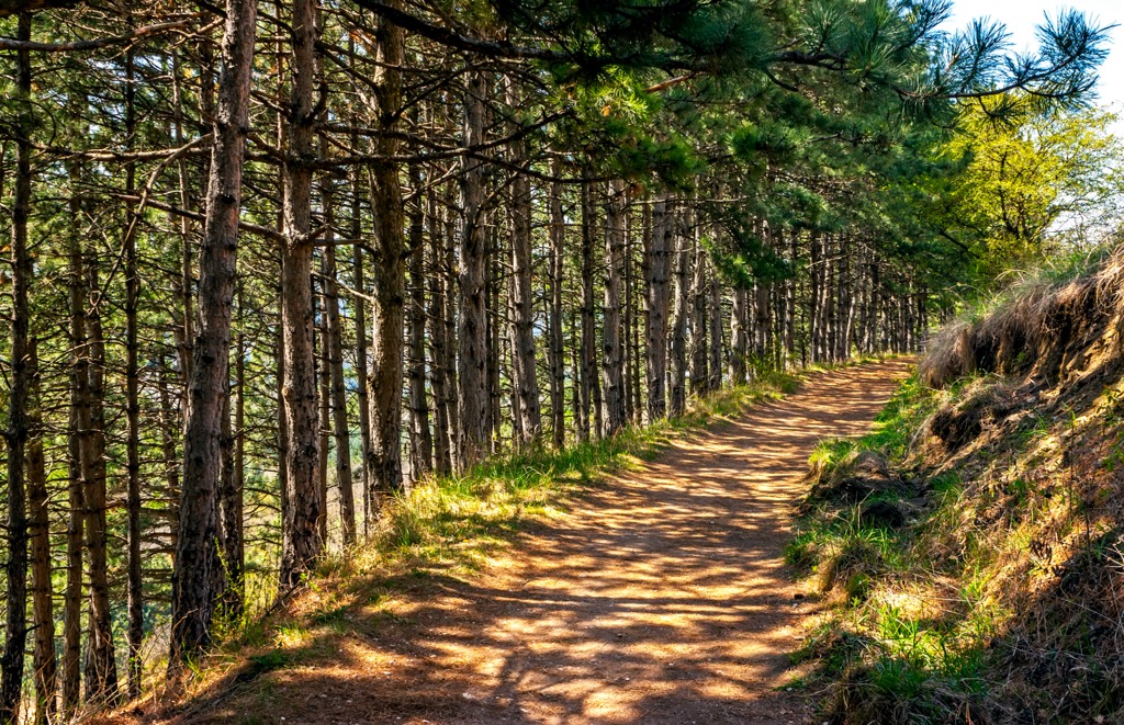 Kislovodsk Terrenkur Park, Caucasus mountain range