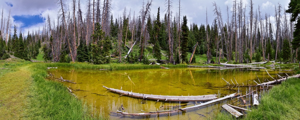 Cedar Breaks National Monument, Utah