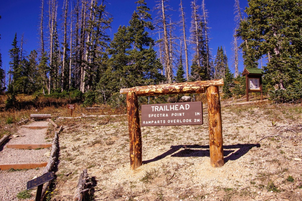 Cedar Breaks National Monument, Utah