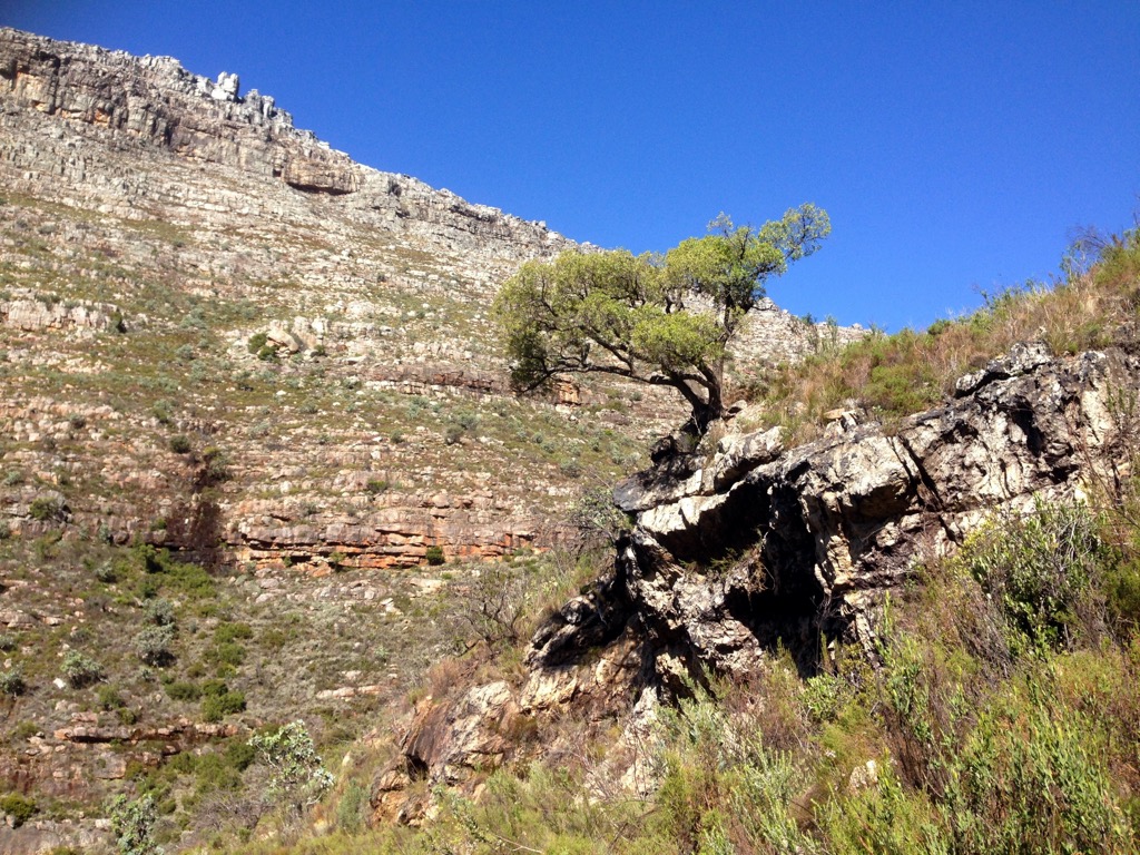 Cederberg Wilderness Area, South Africa