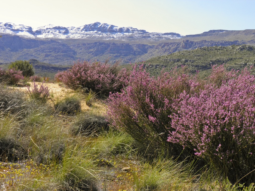 Cederberg Wilderness Area, South Africa