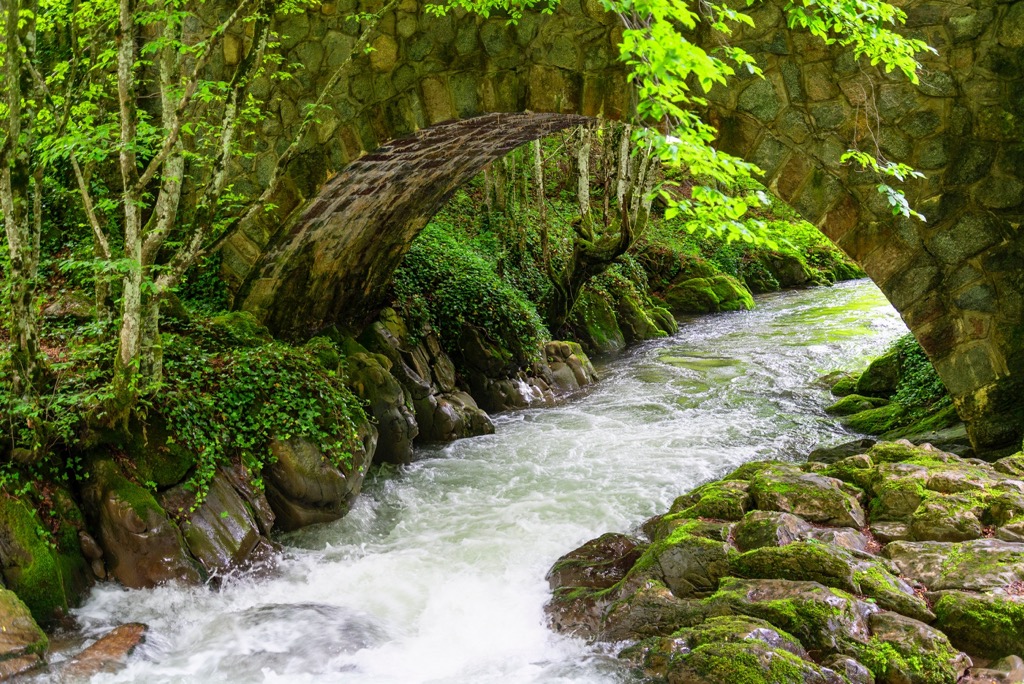 Central Balkan National Park, Bulgaria