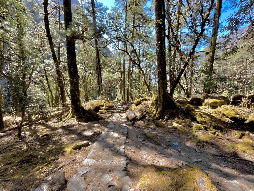 The Himalayan foothills are full of deciduous forest and bamboo jungle. Central Development Region