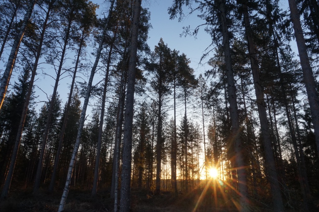 Central Ostrobothnia, Finland