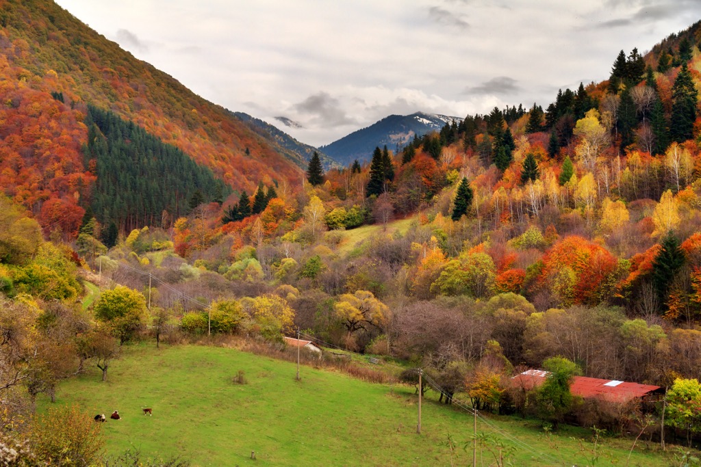 Deciduous forests across Rila’s lower elevations show off spectacular foliage each autumn. Central Rila Reserve