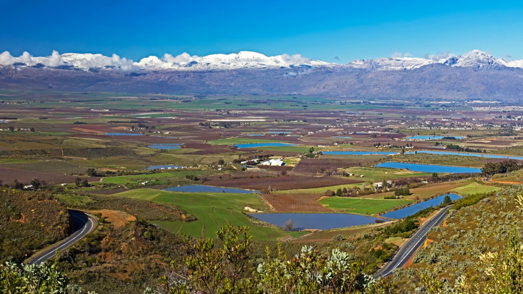 Extensive agriculture in the Valleys, like in the town of Ceres pictured above, has threatened the region’s Fynbos ecosystems. Ceres Mountain Fynbos