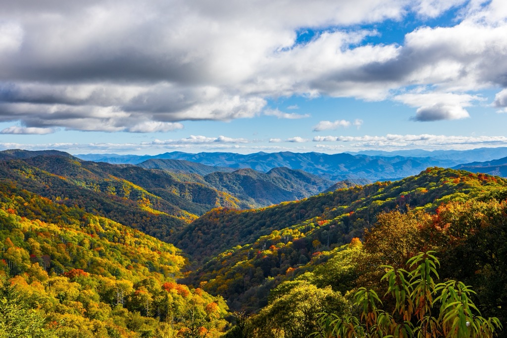 The Smoky Mountains during autumn foliage. Charleston County
