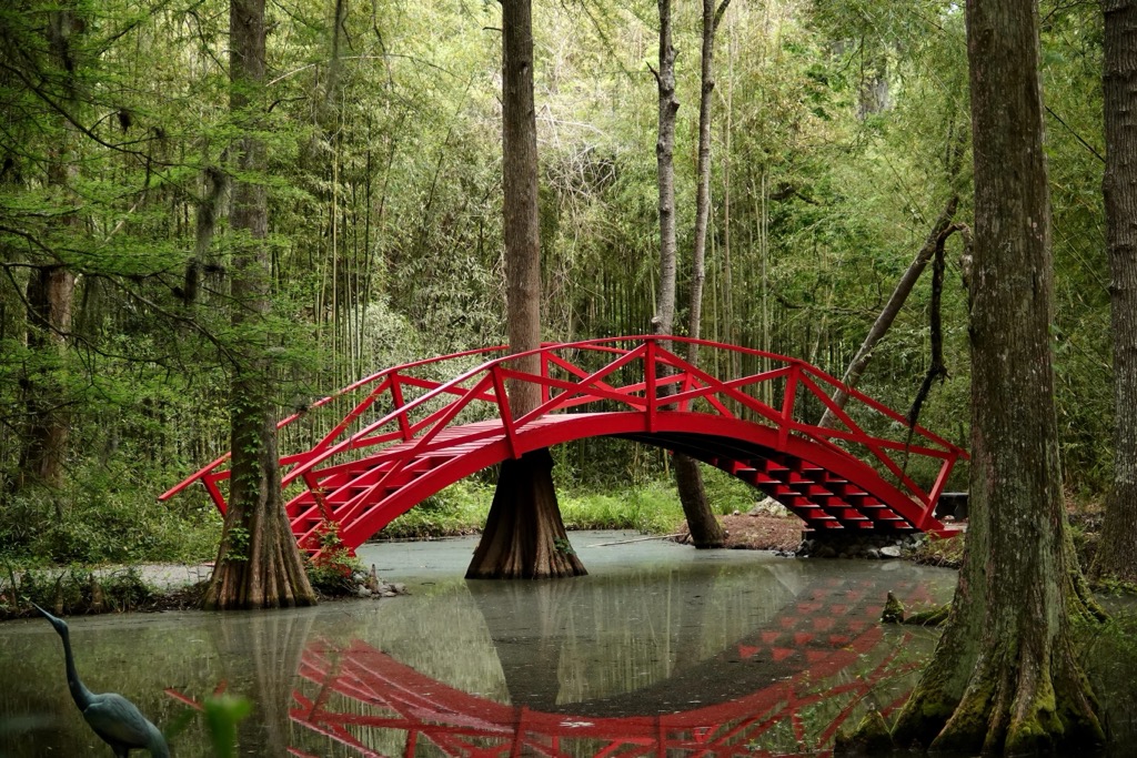 Magnolia Plantation, Charleston, is located just out of town on the Ashley River, near the airport. Charleston County