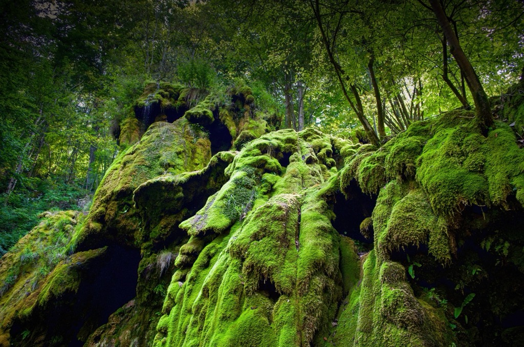 Moss-covered rocks showcase the gorge’s abundance of water. Cheile Nerei-Beusnita