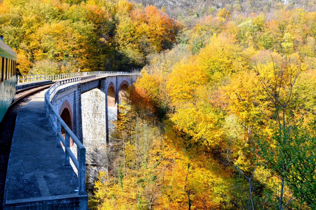 The Anina Oravita Railway. Cheile Nerei-Beusnita