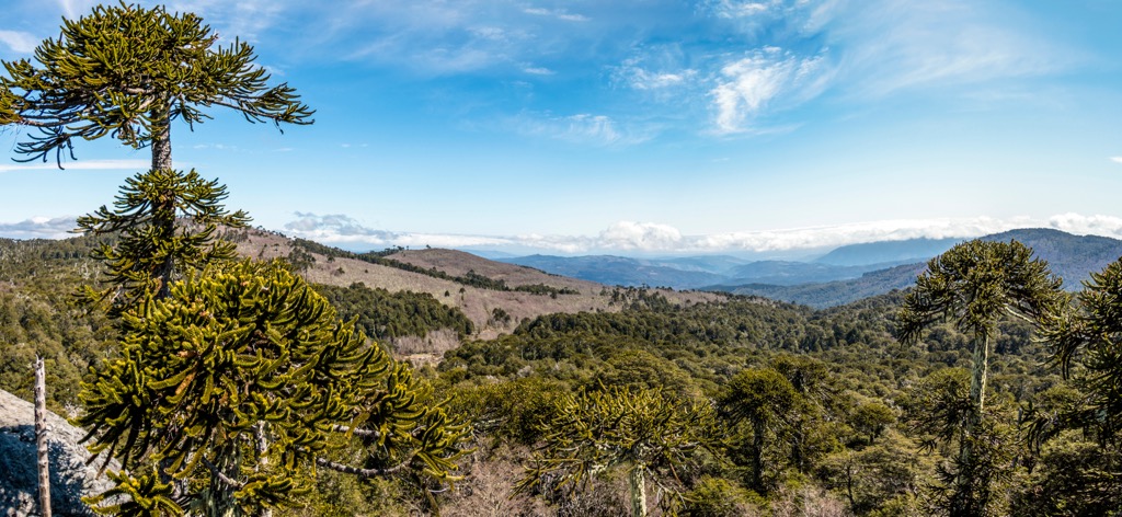 Chile Mountains