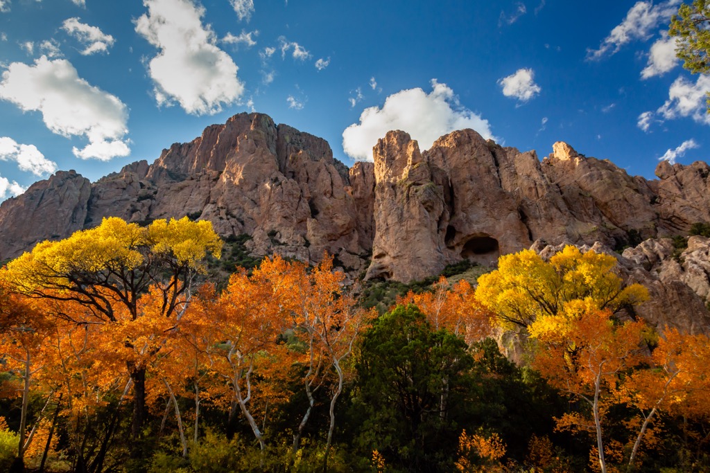Chiricahua Mountains, Arizona