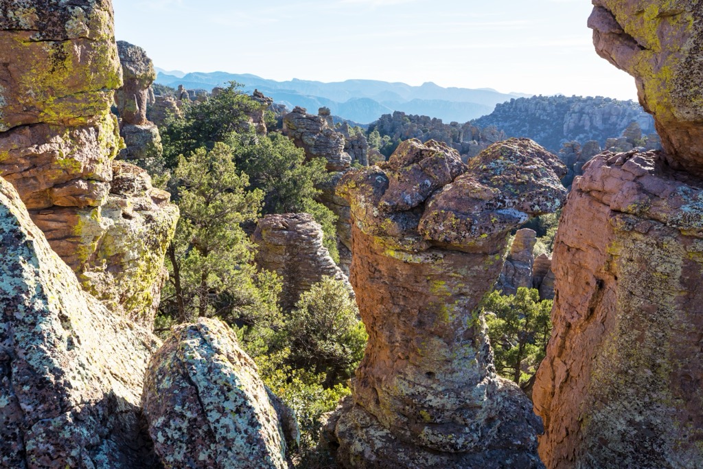 Chiricahua Mountains, Arizona