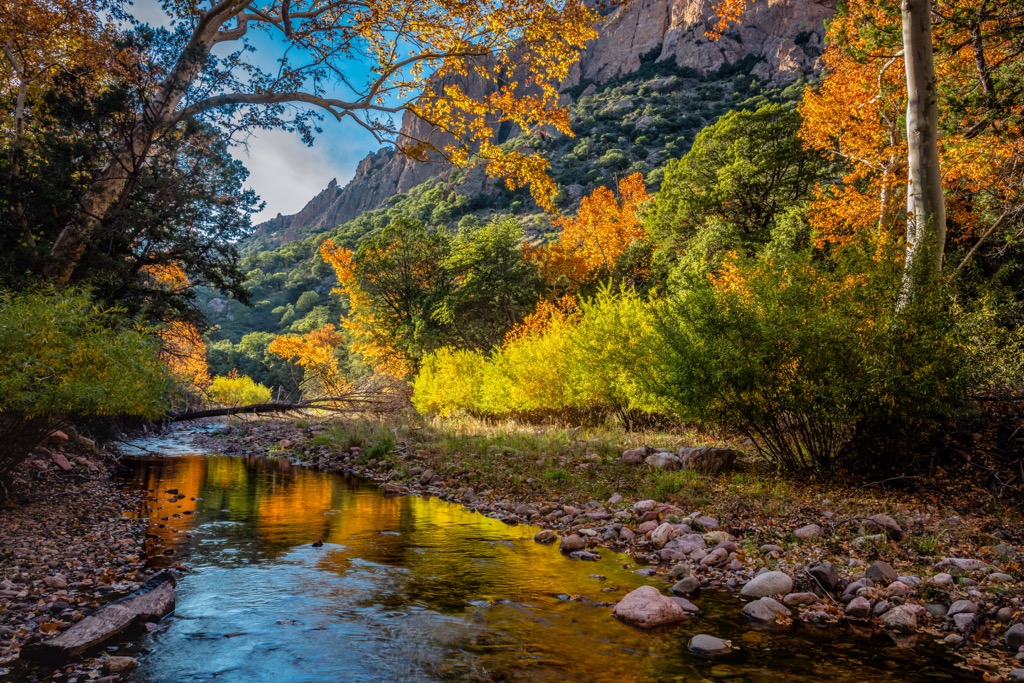 Chiricahua Mountains, Arizona