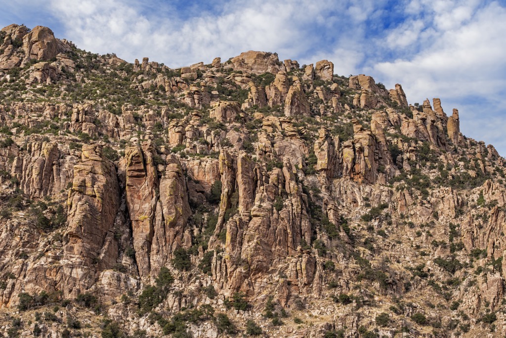 Chiricahua Wilderness, Arizona