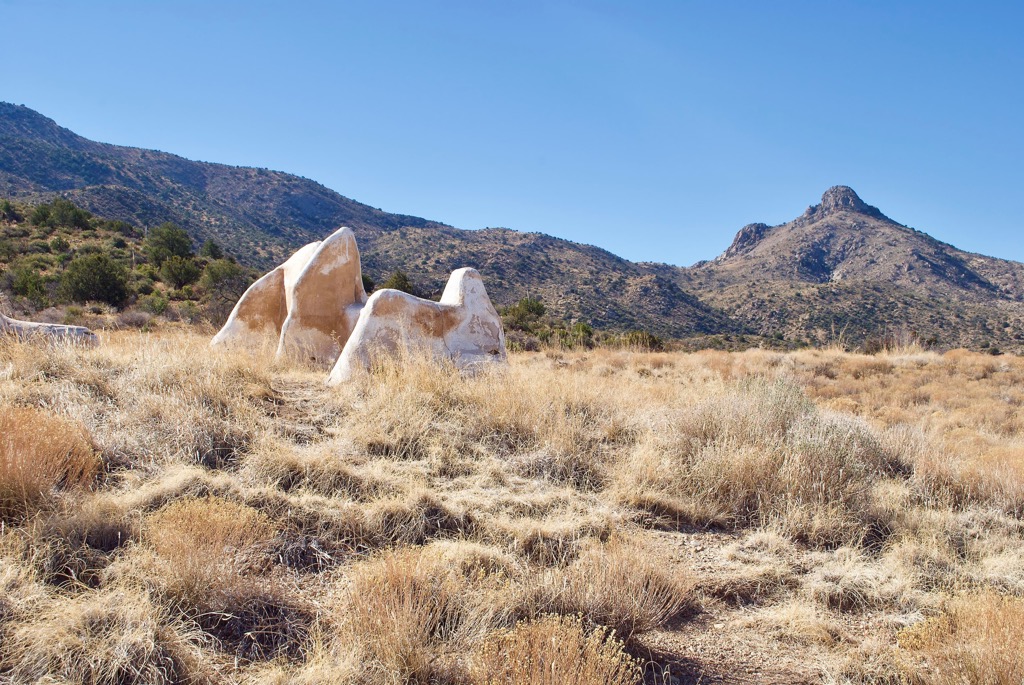 Chiricahua Wilderness, Arizona