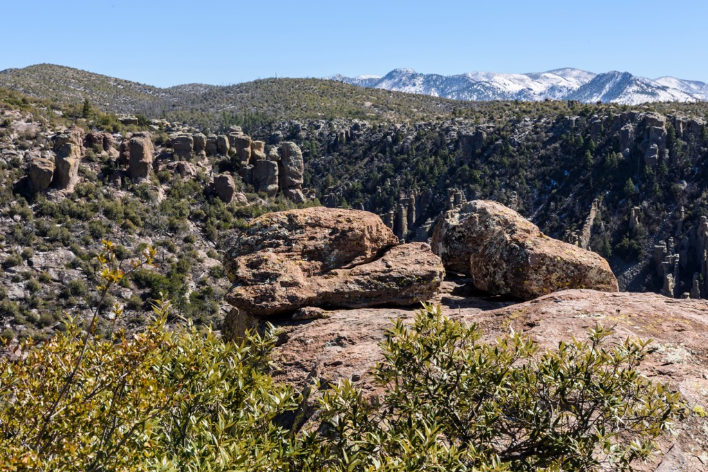 Chiricahua Wilderness, Arizona
