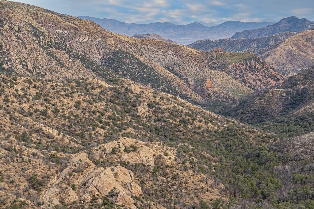 Chiricahua Wilderness, Arizona