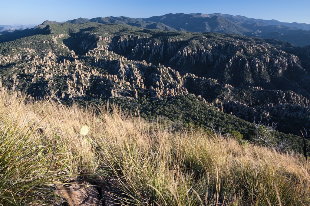 Chiricahua Wilderness, Arizona