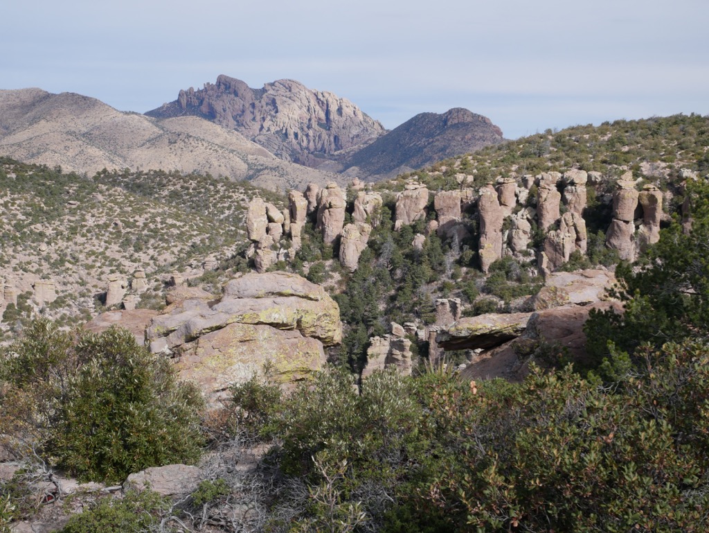 Chiricahua Wilderness, Arizona
