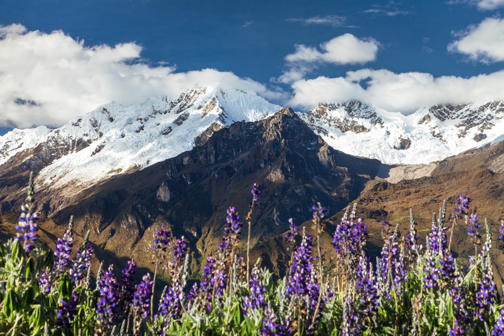 Nevado Salkantay, Choquequirao Regional Conservation Area, Peru