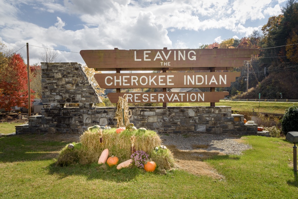 Citico Creek Wilderness, Tennessee