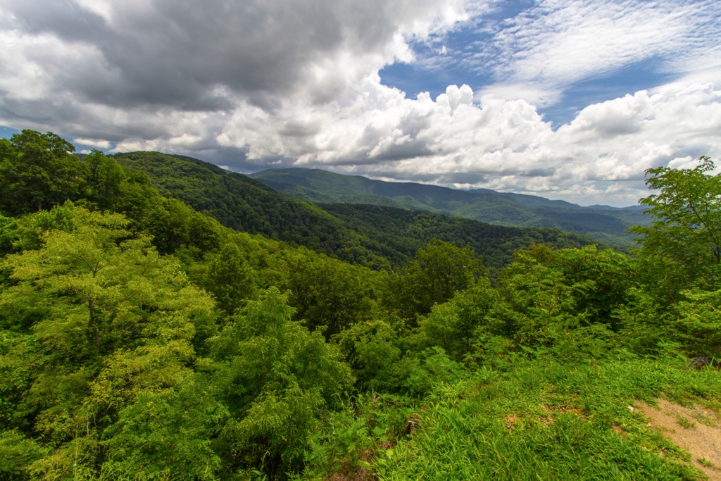 Citico Creek Wilderness, Tennessee