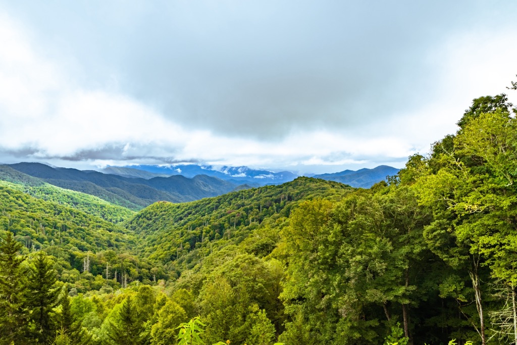 Citico Creek Wilderness, Tennessee