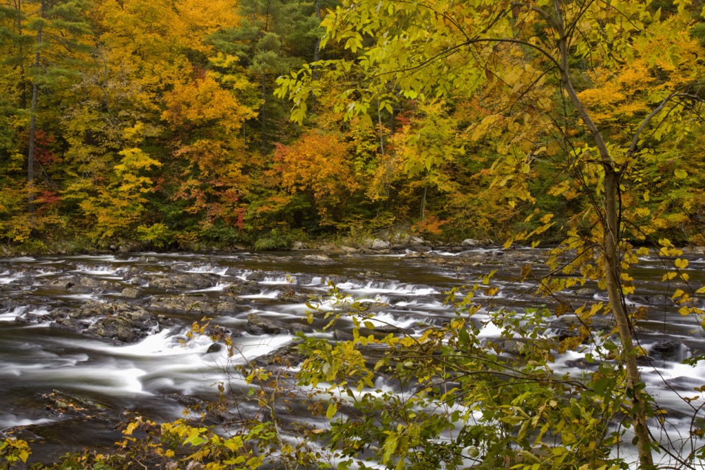 Citico Creek Wilderness, Tennessee