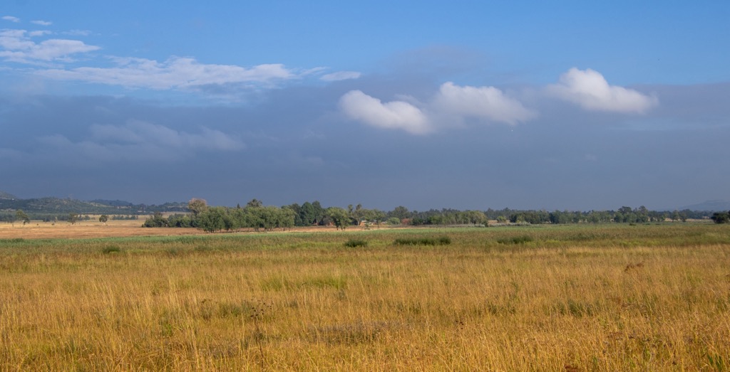 Highveld grasslands of the Gauteng Province in early fall. City of Tshwane Metropolitan Municipality